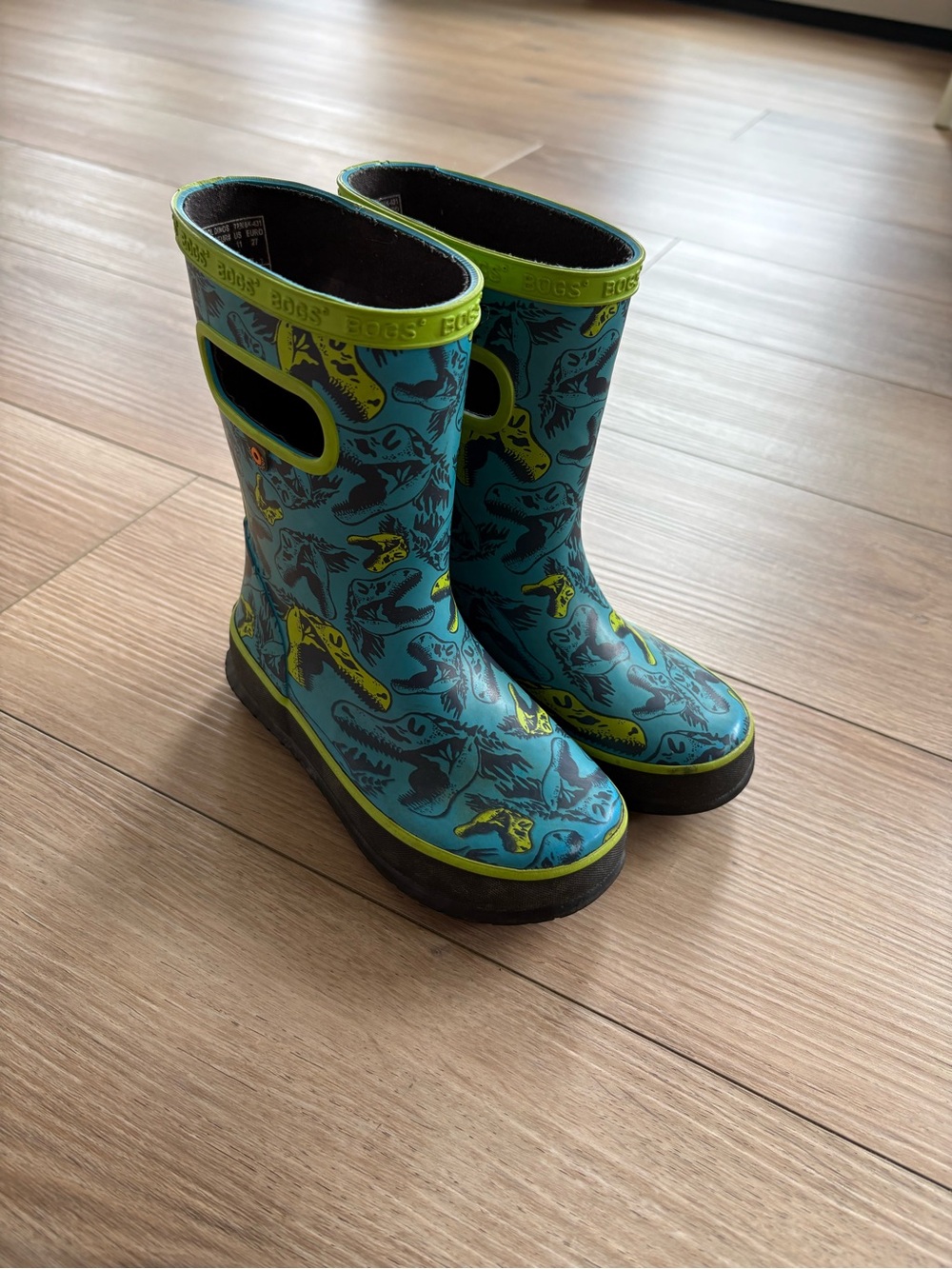 Bogs Kids Teal & Lime Dinosaur Rain Boots